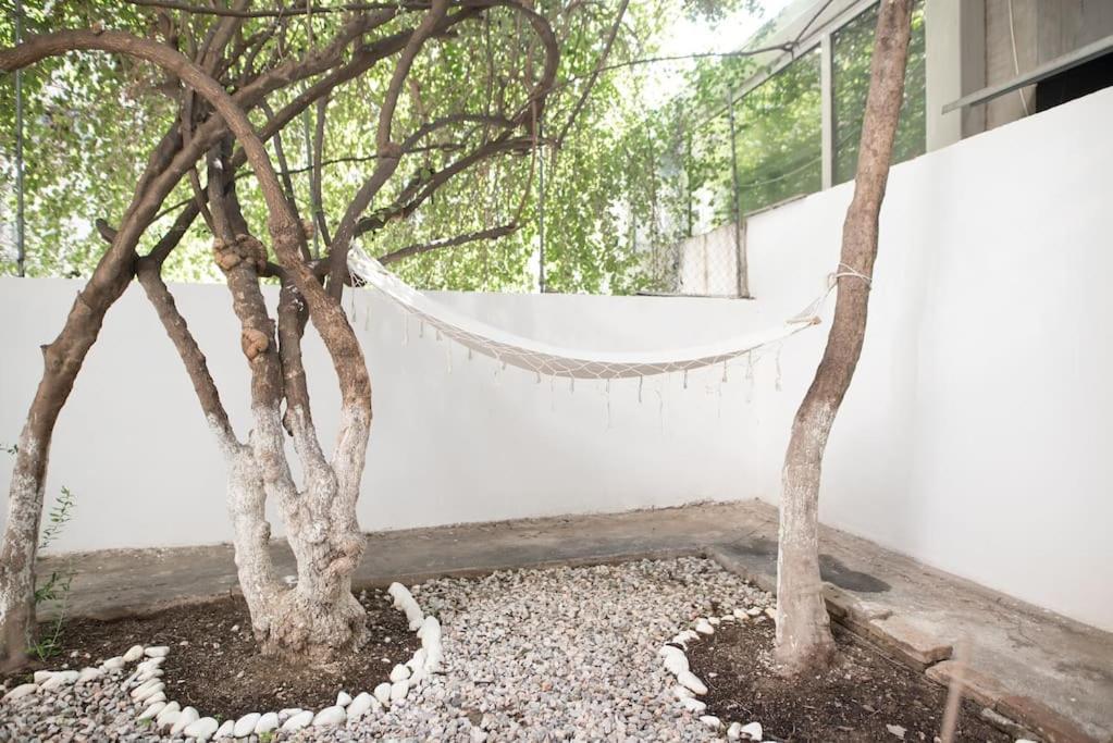 Luxury Studio With Garden Next To Acropolis Athens Exterior photo
